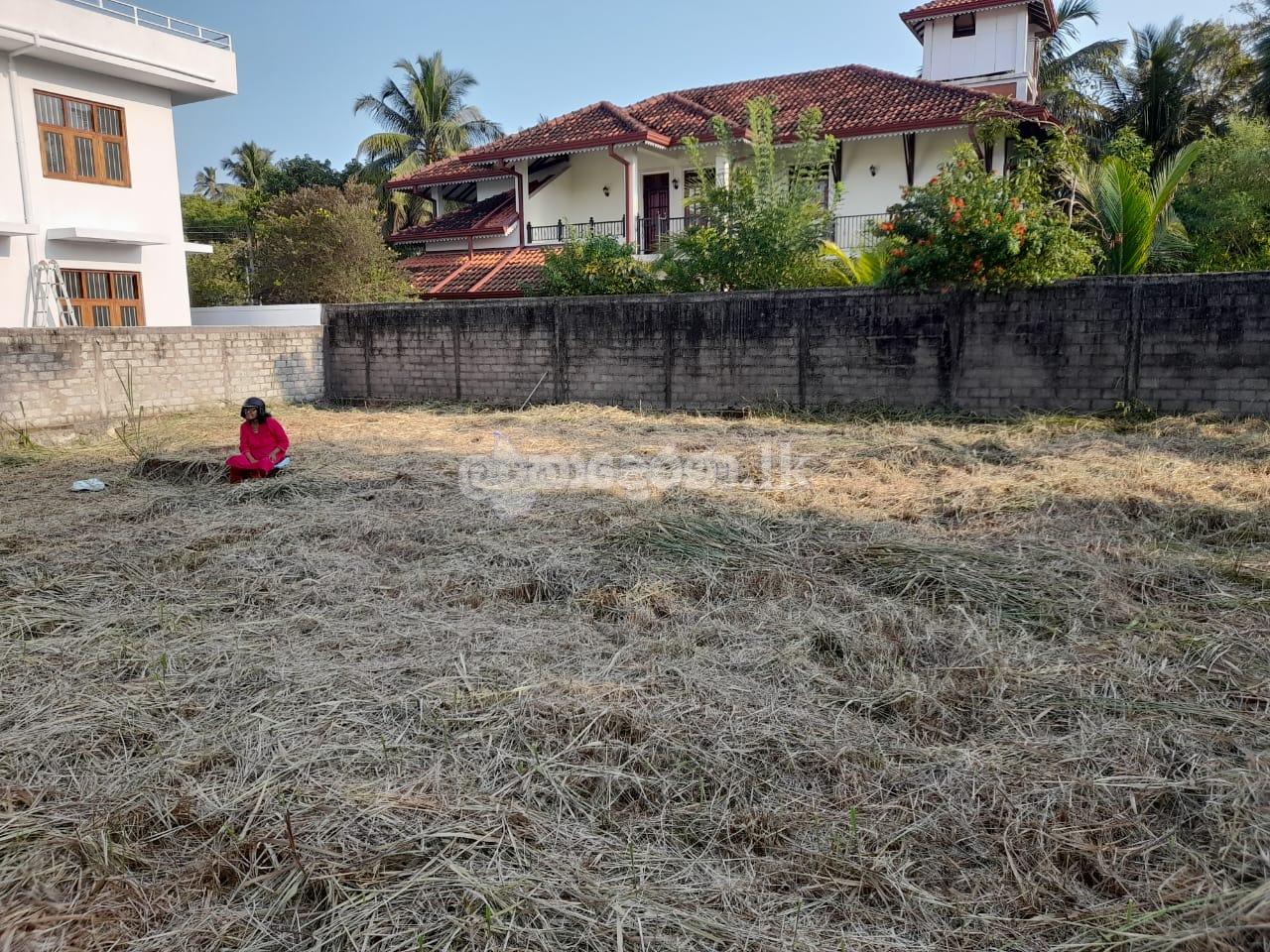 Land for sale