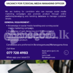 Social Media Managing Officer