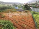 Code 3753 Land for sale Nuwara Eliya
