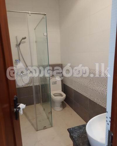 Code 3752 House rent Col06