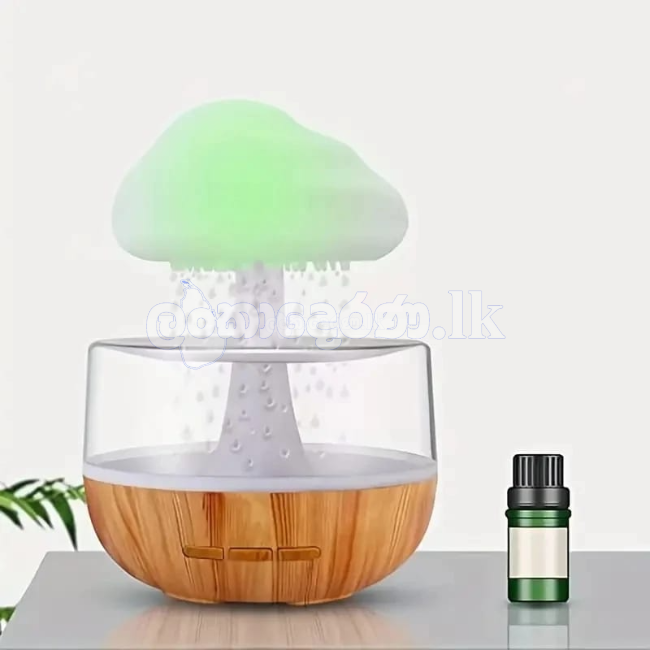 Rain Cloud Humidifier