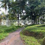 Code 3762 Coconut estate for sale Meerigama