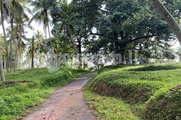 Code 3762 Coconut estate for sale Meerigama