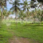 Code 3762 Coconut estate for sale Meerigama