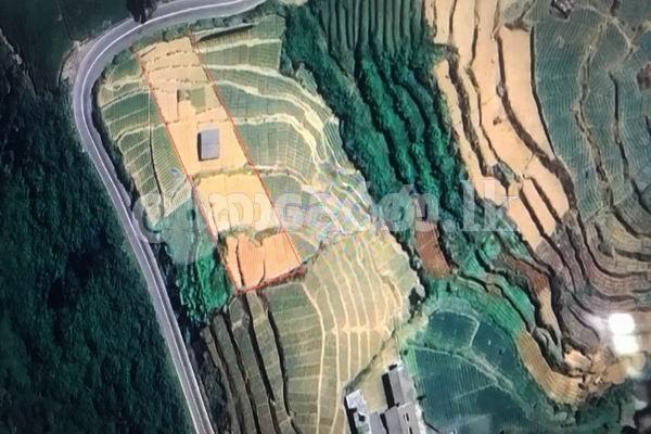 Code 3753 Land for sale Nuwara Eliya