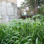 Code 3763 Land for sale Moratuwa