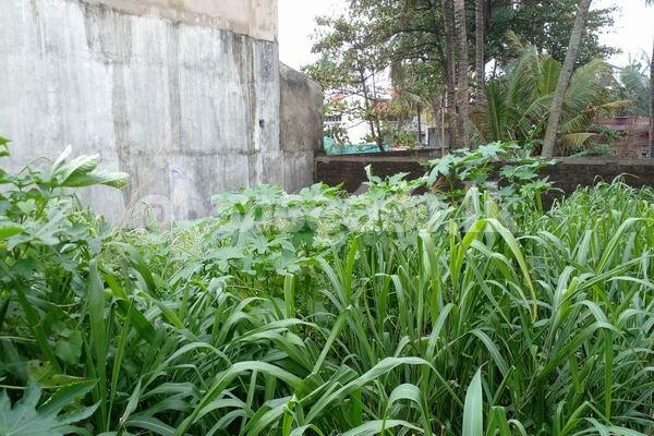 Code 3763 Land for sale Moratuwa