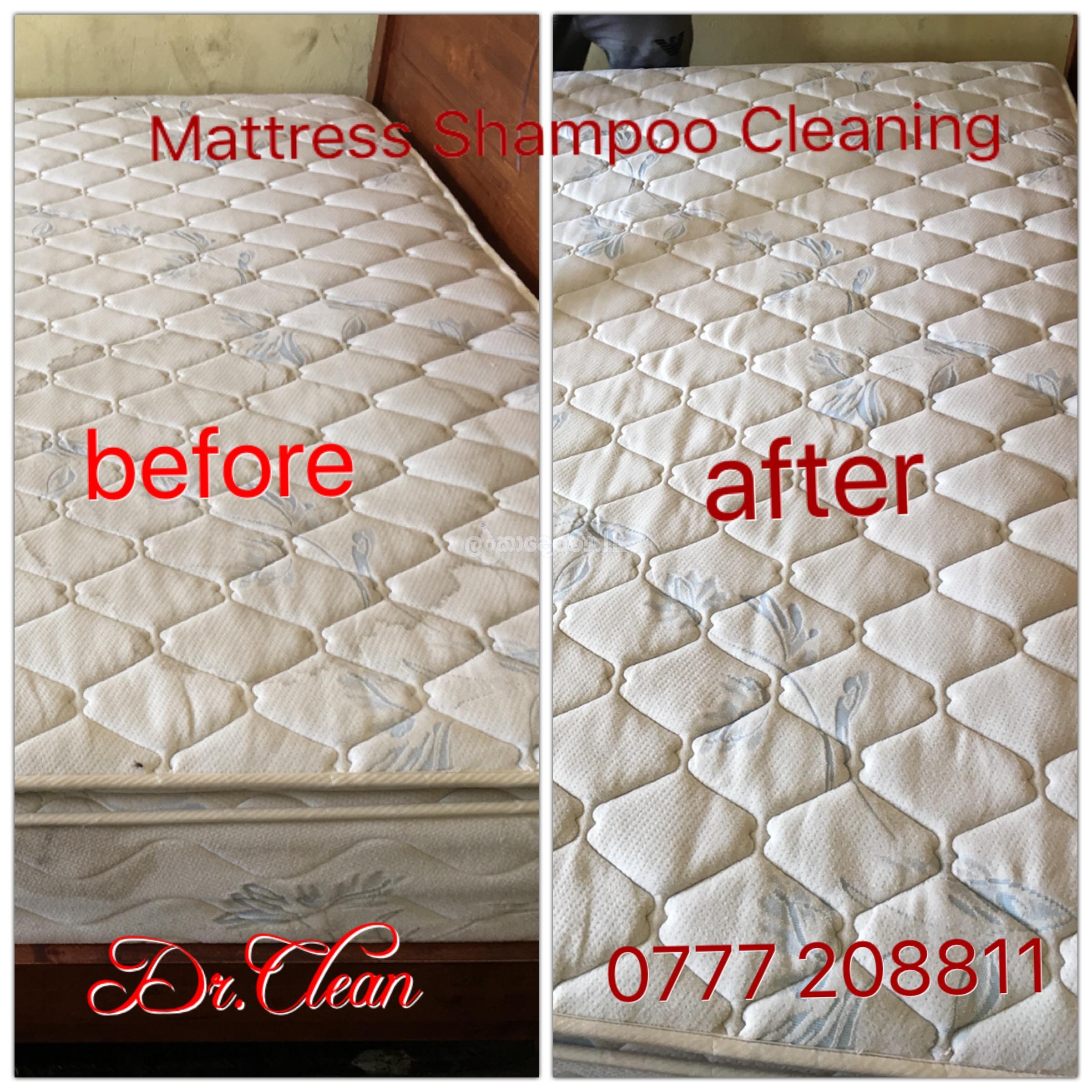 sofa cleaners