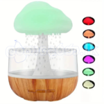 Rain Cloud Humidifier