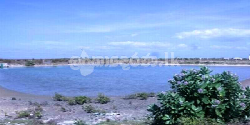 Code 3770 Prawn farm gor sale Kalpitiya