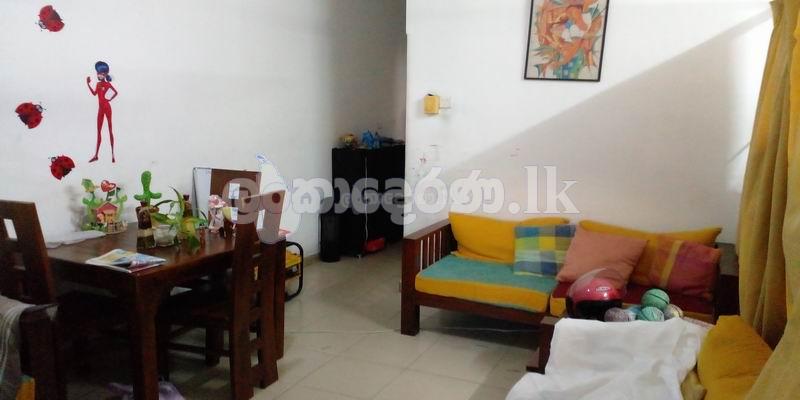 Code 3772 Building for sale Panadura