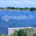 Code 3770 Prawn farm gor sale Kalpitiya