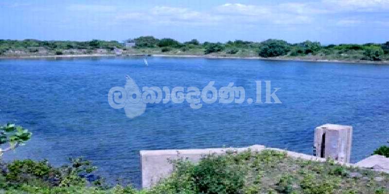 Code 3770 Prawn farm gor sale Kalpitiya