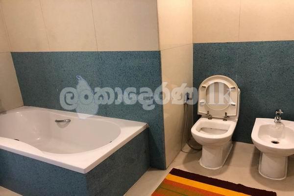 Code 3683 Qpt rent Col07