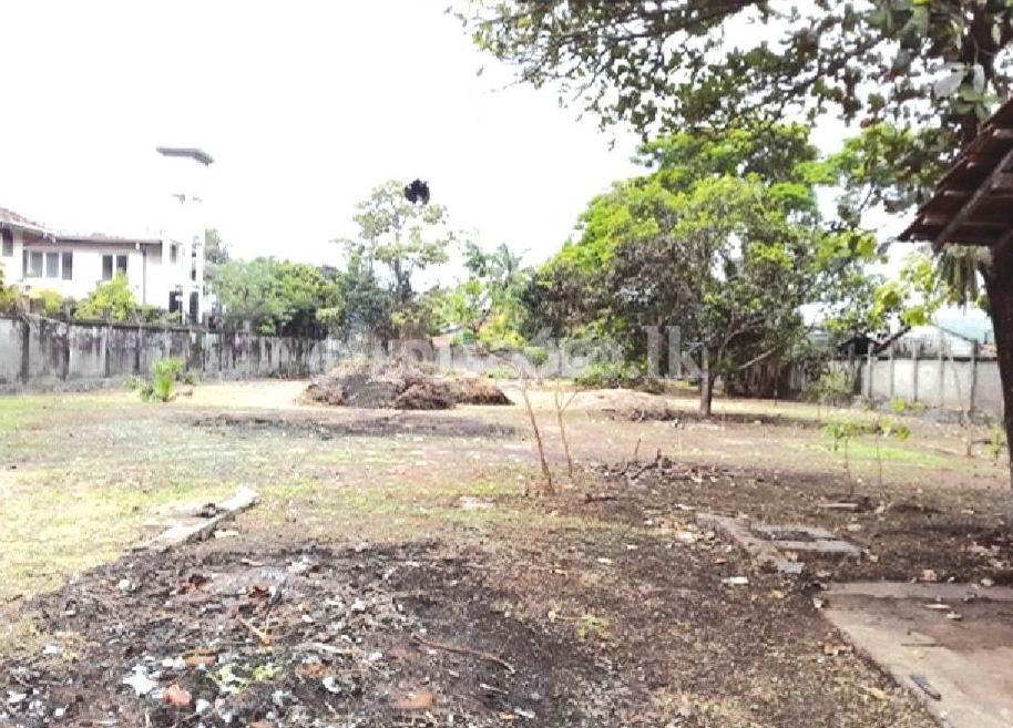 Code 3775 Land for sale Negomno