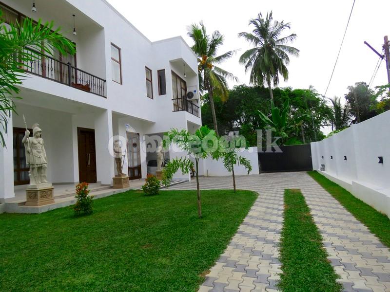 Malaysian Grass Landscaping Service