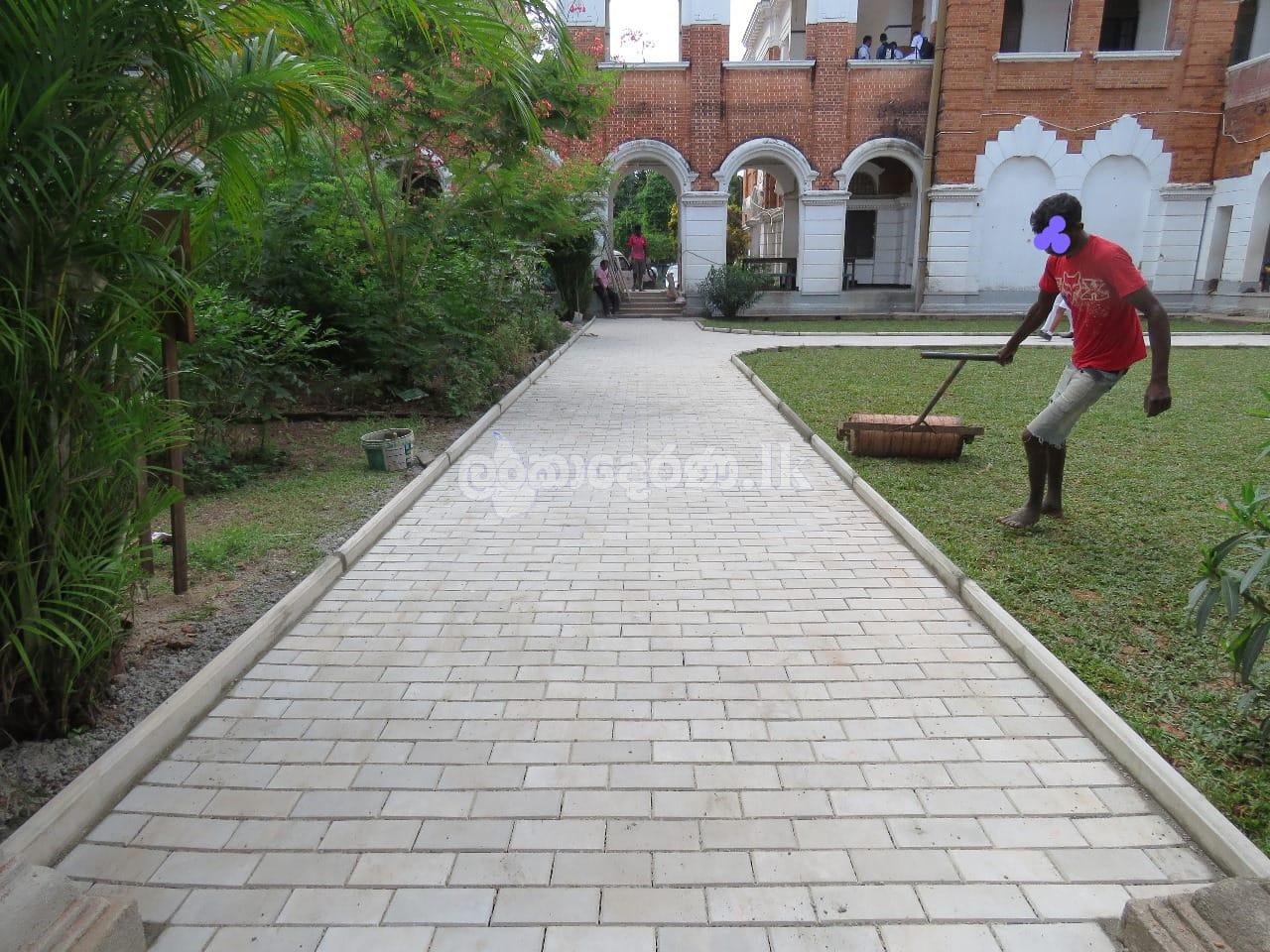 Malaysian Grass Landscaping Service