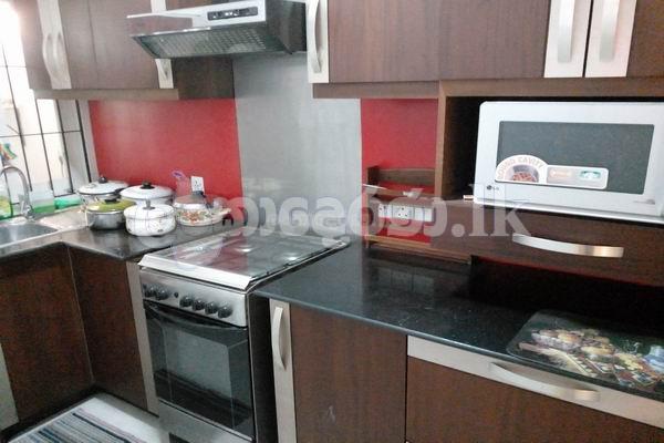 Code 3804 Apt for rent Col08