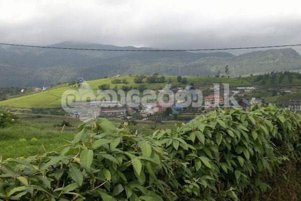 Code 3797A Land for sale Nuwara Eliya
