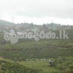 Code 3797A Land for sale Nuwara Eliya