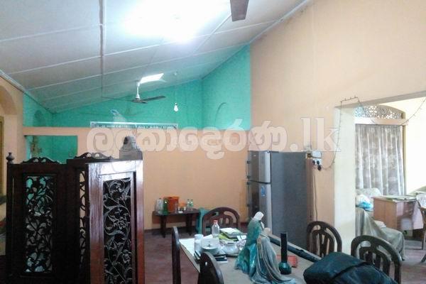 Code 3796 Land for sale Negombo