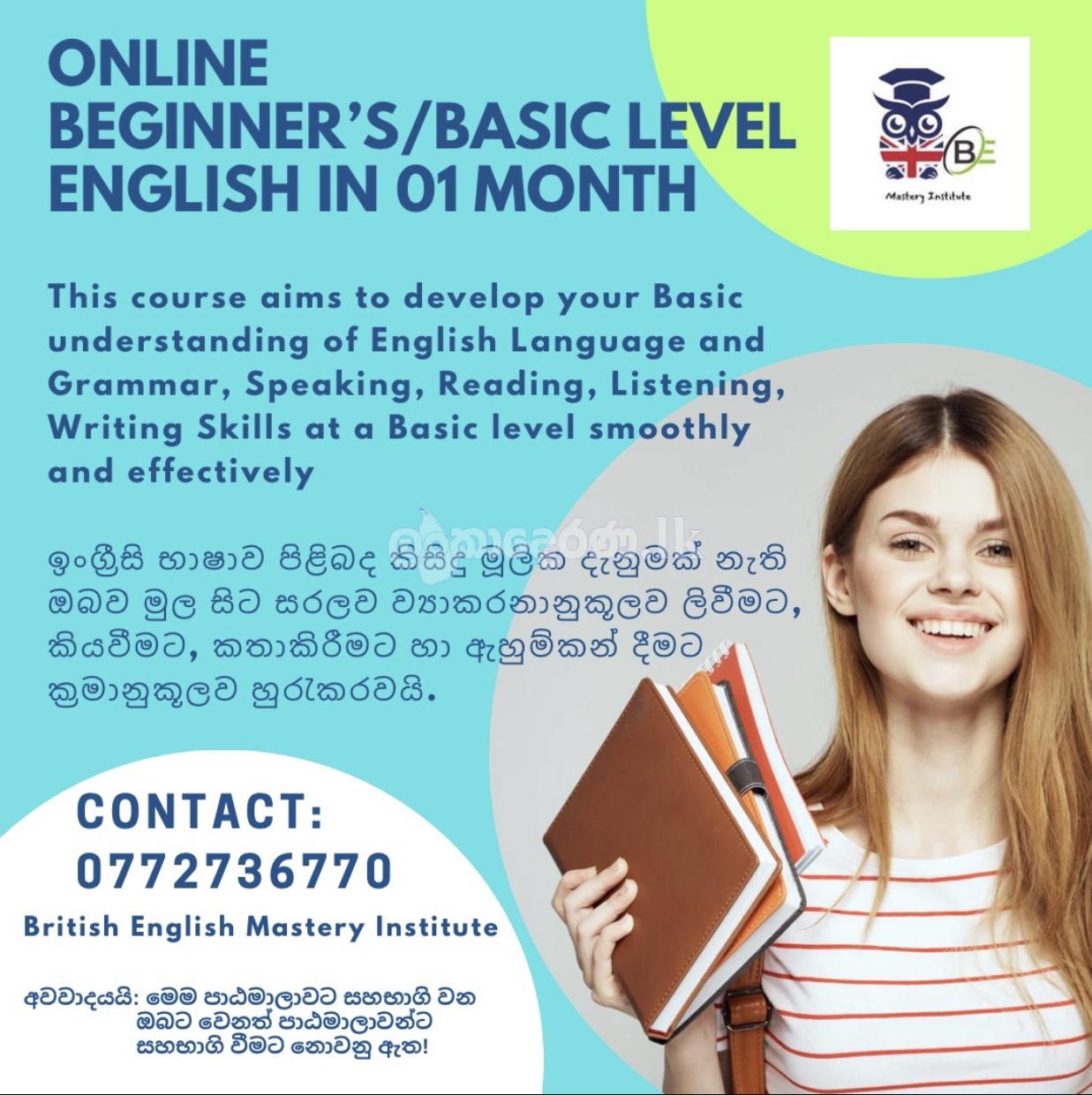 English individual classes for adults and school students