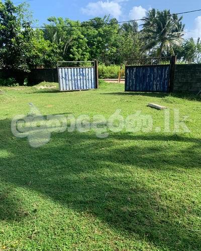 Code 3814 Land for sale Hikkaduwa