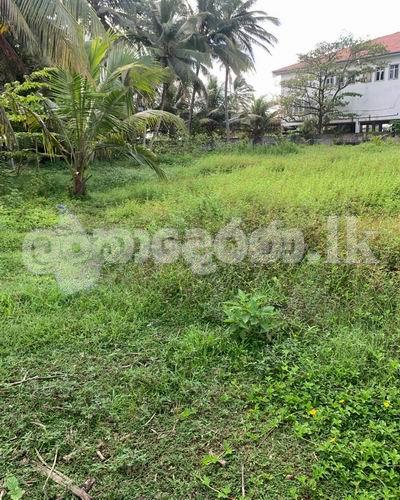 Code 3814 Land for sale Hikkaduwa