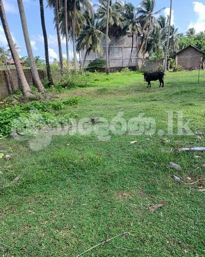 Code 3814 Land for sale Hikkaduwa