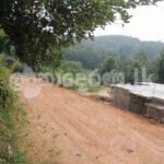 Code 3818 land for sale Weliveriya