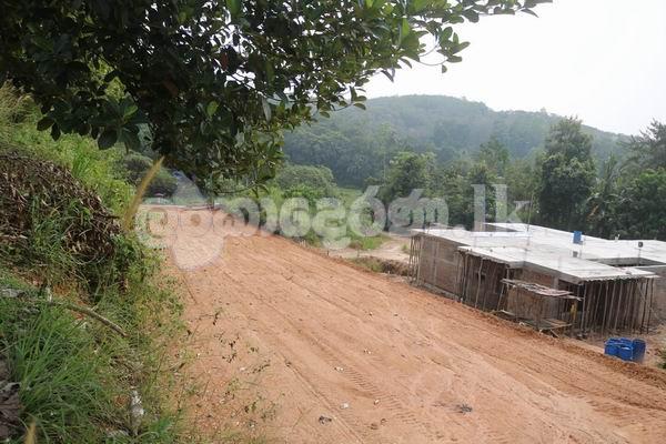Code 3818 land for sale Weliveriya