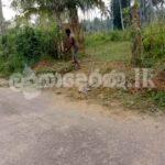 Code 3824 Land gor sale Weliveriya
