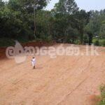 Code 3818 land for sale Weliveriya