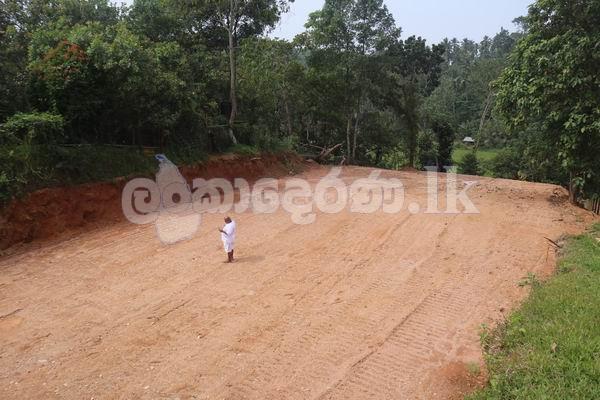 Code 3818 land for sale Weliveriya