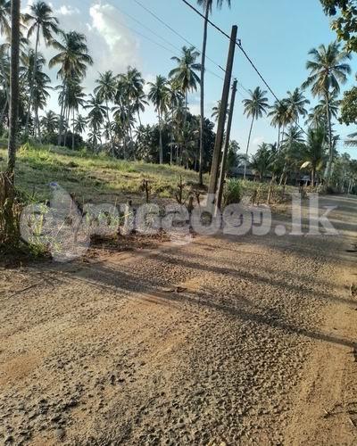 Code 3824 Land gor sale Weliveriya