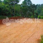 Code 3818 land for sale Weliveriya