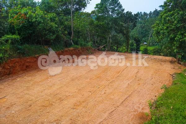 Code 3818 land for sale Weliveriya