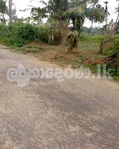 Code 3824 Land gor sale Weliveriya