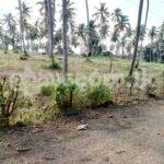 Code 3824 Land gor sale Weliveriya