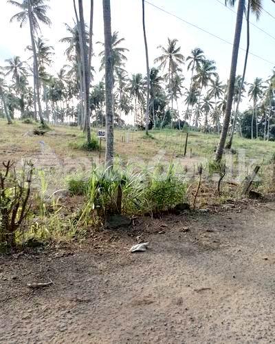 Code 3824 Land gor sale Weliveriya