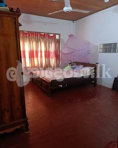 Code 3819 House for sale Galle