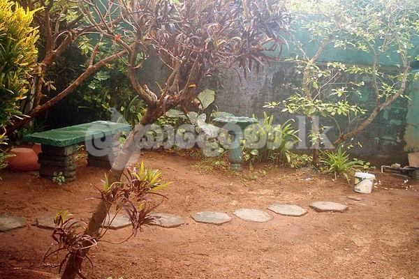 Code 3946 Lamd for sale Mt.lavonia