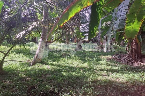 Code 3942 Land for sale Matara