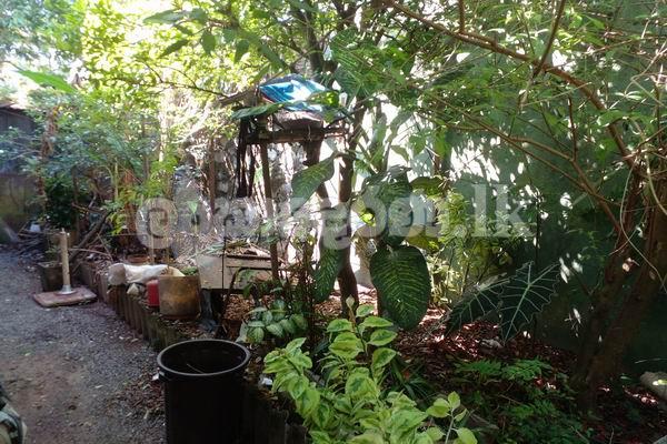 Code 3941 Land for sale Ethuĺ kptte