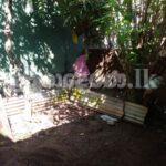 Code 3941 Land for sale Ethuĺ kptte