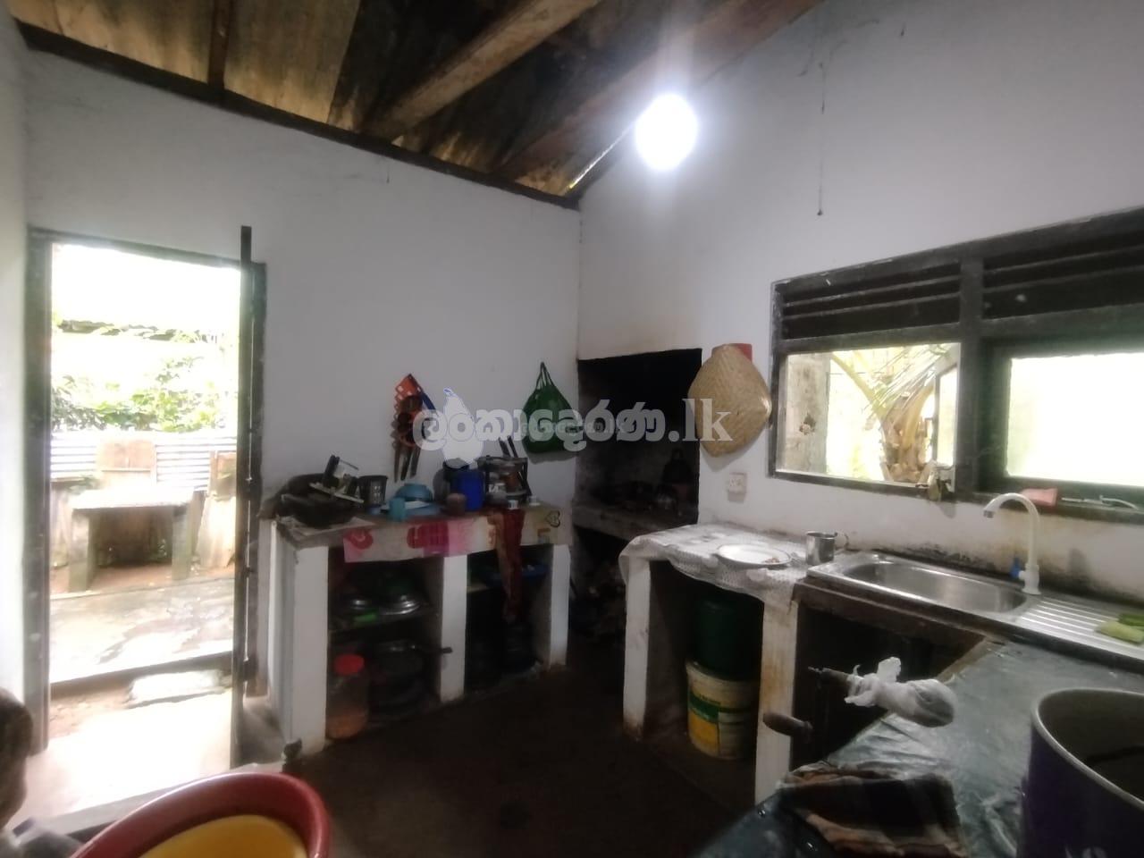 House for sale (urgent)