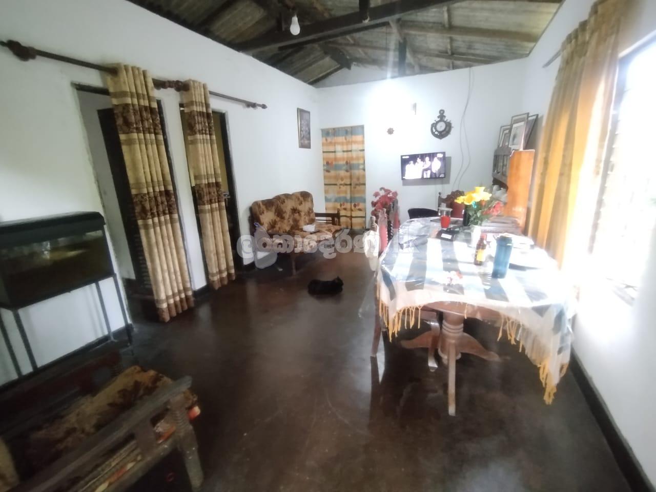 House for sale (urgent)