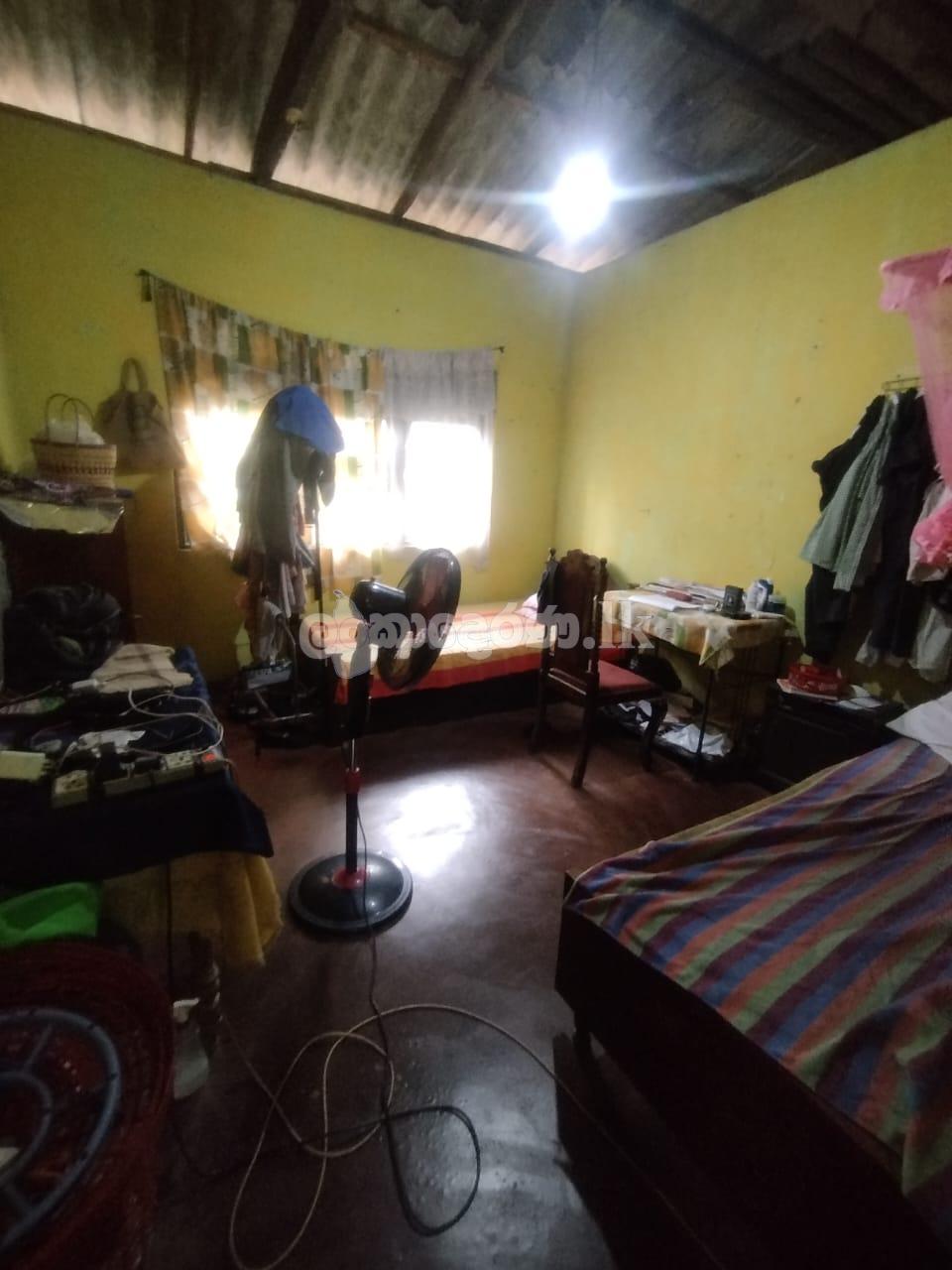 House for sale (urgent)