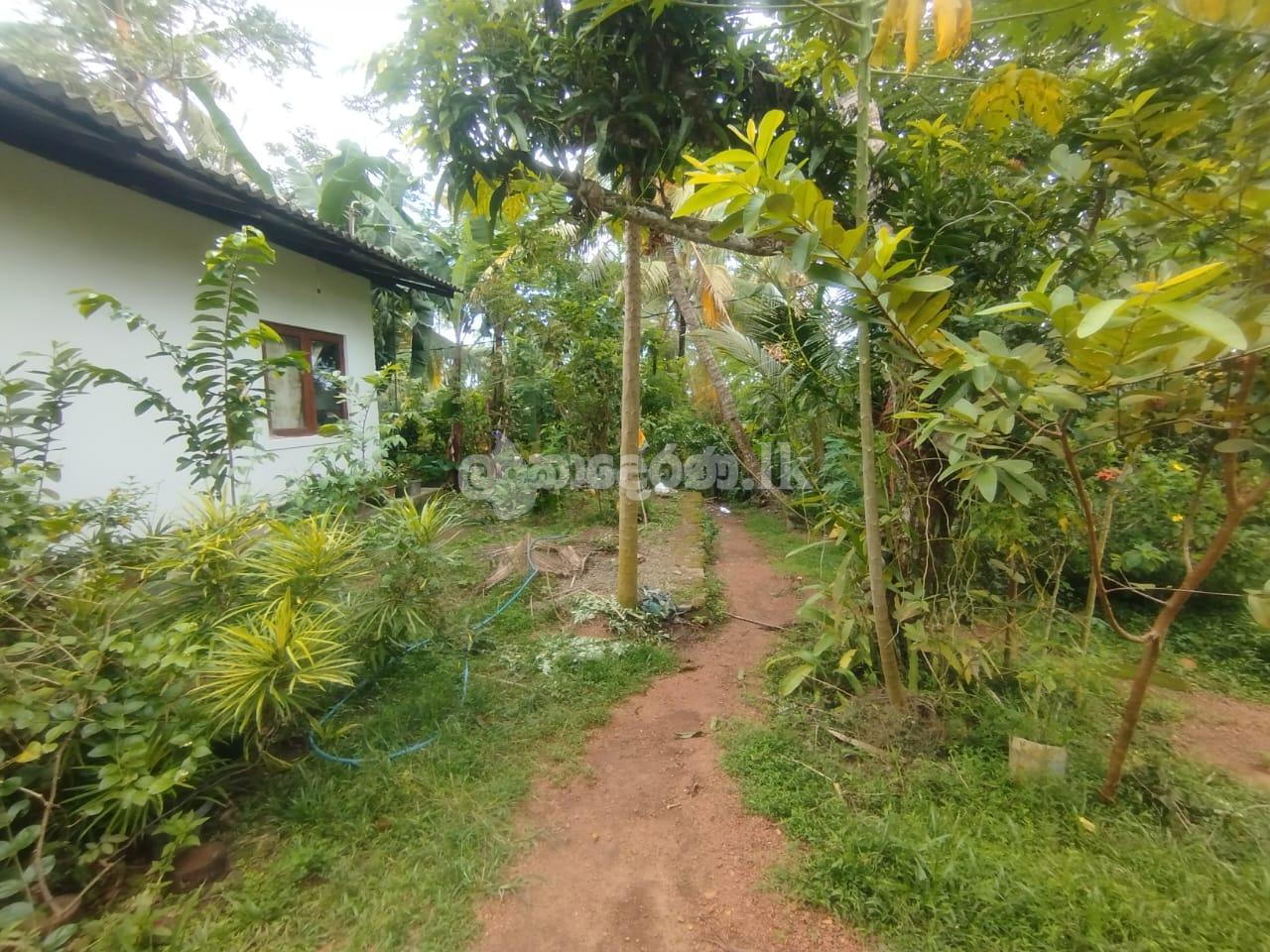 House for sale (urgent)