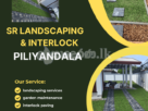 Landscaping Service Piliyandala, Horana